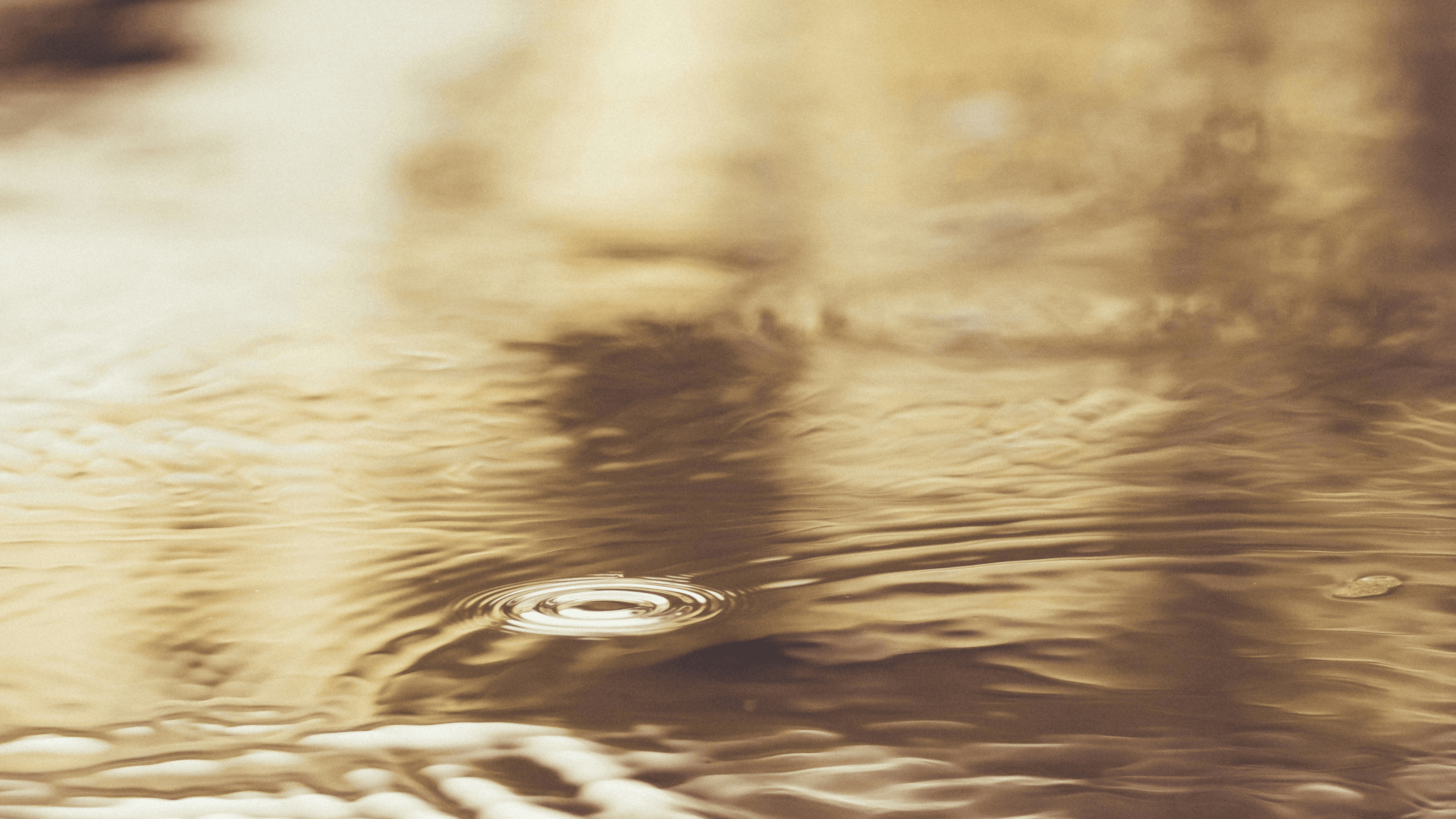 gros plan artistique d’une surface d’eau dorée avec reflets et ondulations lumineuses